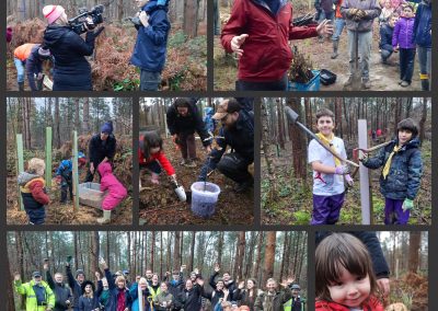 Helping to Restore Our Woodland